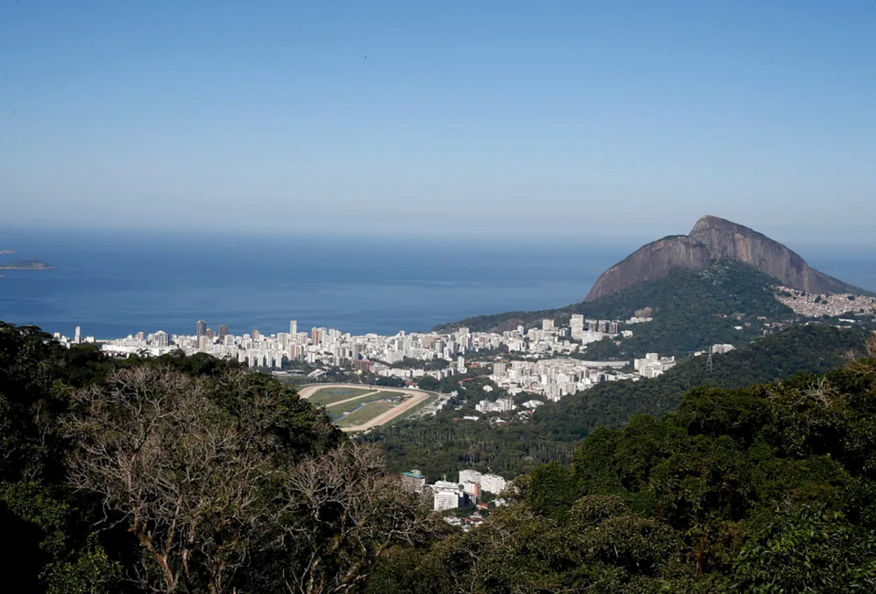 Floresta da Tijuca